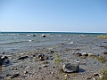 Western Michigan [2010] 786